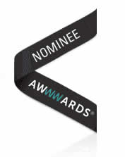 Web Design Awards Nominee Awards